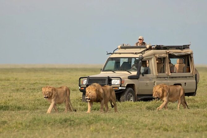 3 Days Group Joining Serengeti and Ngorongoro Safari - Day 1: the six-hour road to the Serengeti