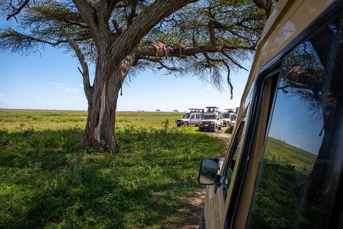 3 Days Group Safari Serengeti & Ngorongoro - Five useful things to know before booking