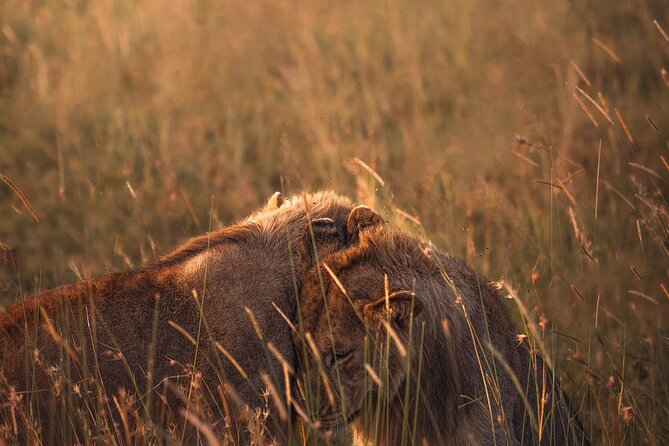 3 days Group tour Tarangire, Ngorongoro & lake manyara park - Day 3: Birds, hippos, and hot springs at Lake Manyara