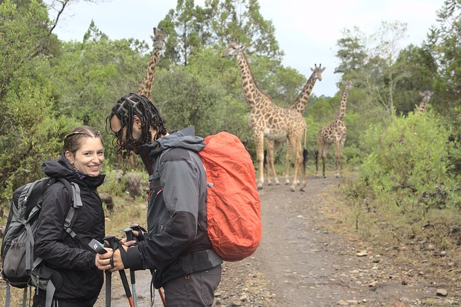 3 days hiking adventure on Mount Meru - Day Three: Rhino Point, Cobra Point, and the Summit