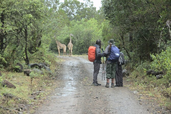 3 days hiking adventure on Mount Meru - Is $903.47 Good Value?