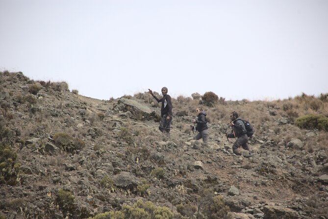 3 days hiking adventure on Mount Meru - Day One: Momela Gate and the Forest Walk