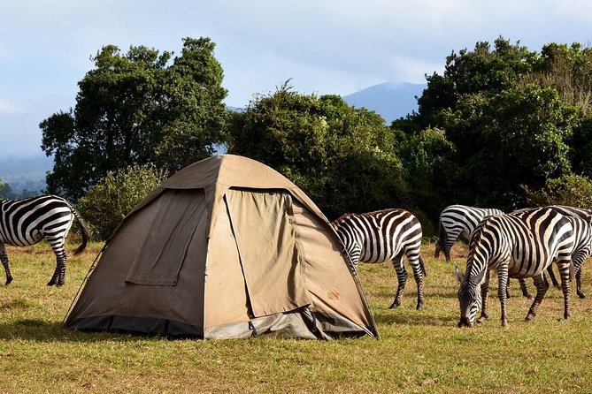 3 Days Joined Group Safari Ngorongoro,Lake Manyara and Tarangire National Park - Three Parks in Three Days From Arusha