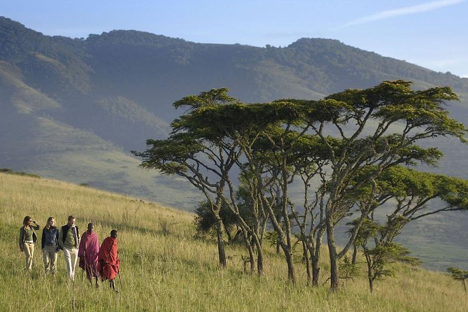 3 Days Joined Group Safari Ngorongoro,Lake Manyara and Tarangire National Park - Day One: Baobabs and Wildlife in Tarangire