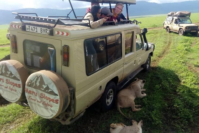 3 Days Lake Manyara, Ngorogoro Crater, Tarangire National Park - Day 3: Tarangire wording, Lake Manyara plans, and Mto wa Mbu
