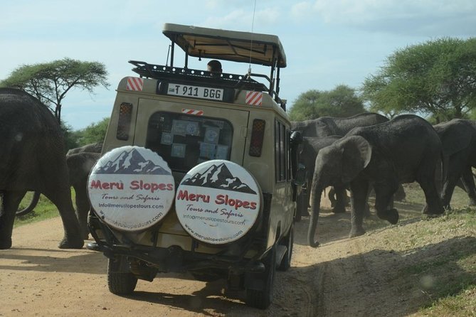 3 Days Lake Manyara, Ngorogoro Crater, Tarangire National Park - The guide can shape the whole experience