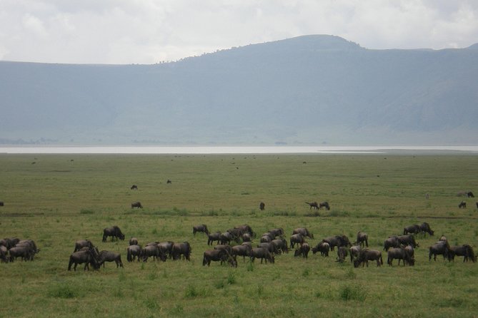 3 Days Lake Manyara, Ngorogoro Crater, Tarangire National Park - Day 1: Tarangire’s elephants, river, and baobab trees