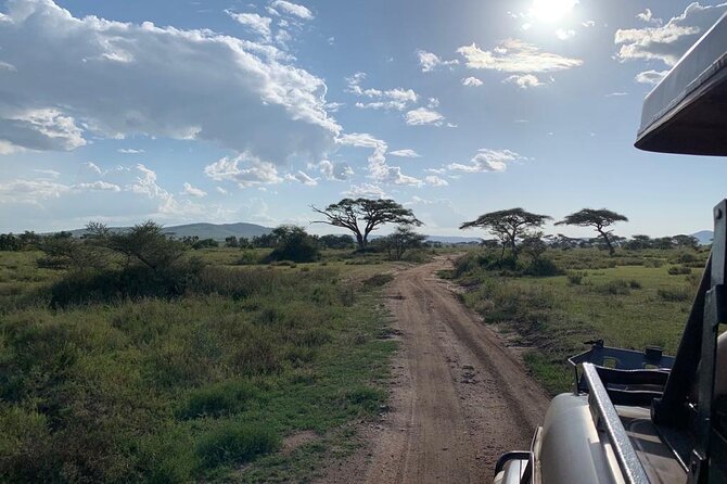 3 Days Lake Manyara, Tarangire, Ngorongoro Crater group (Camping) - Is $700 per person good value?