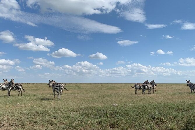 3 Days Lake Manyara, Tarangire, Ngorongoro Crater group (Camping) - Day 1: Tarangire National Park and its long first game drive