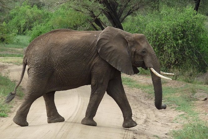 3 Days Lodge Safari - Meals, Extra Costs, and the Small Print