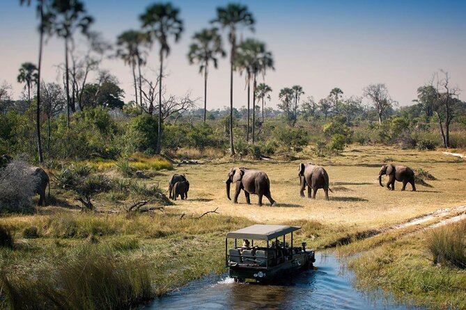 3-Days Lodge Safari in Tarangire, Ngorongoro Crater & Lake Manyara - Tarangire: elephants beneath the baobabs
