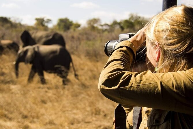 3-Days Lodge Safari in Tarangire, Ngorongoro Crater & Lake Manyara - The guide can make or break the wildlife hours