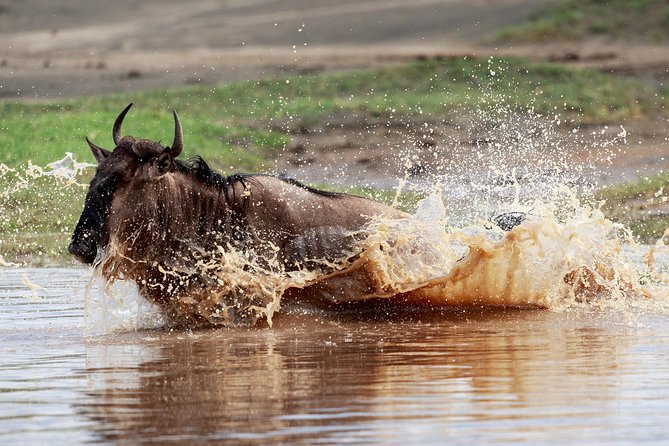 3 Days Luxury Lodge Safari in Tanzania - The Cultural Heritage Centre adds a human story