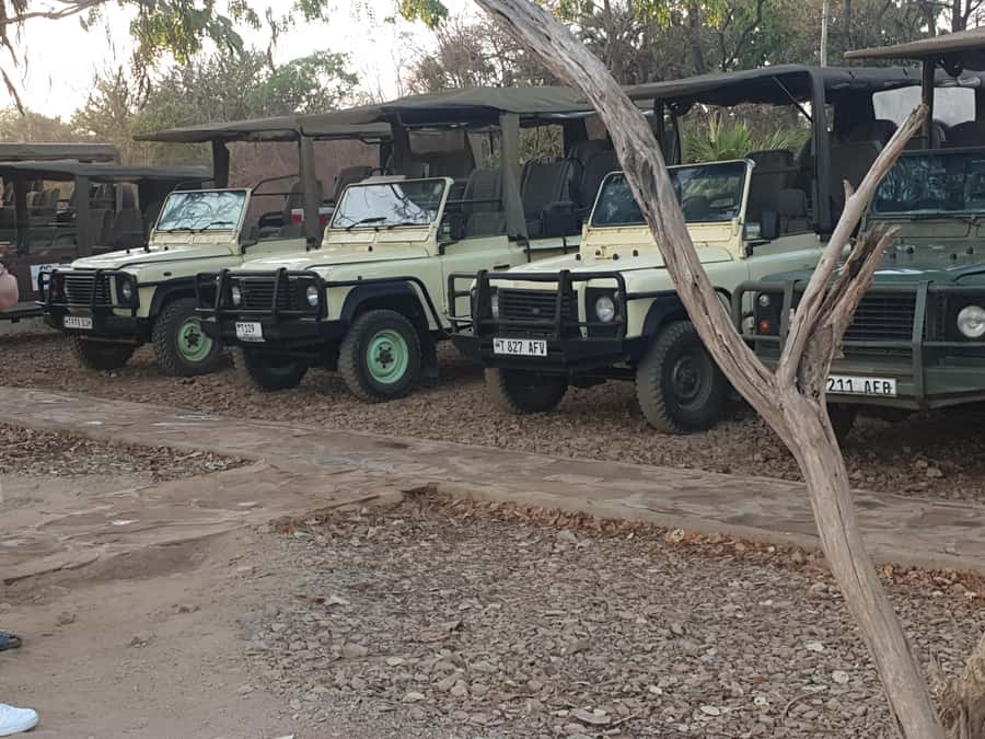3 DAYS NYERERE NATIONAL PARK FROM ZANZIBAR BY FLIGHT. - Key points at a glance