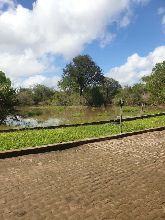 3 DAYS NYERERE NATIONAL PARK FROM ZANZIBAR BY FLIGHT. - Why this Zanzibar safari works in only three days