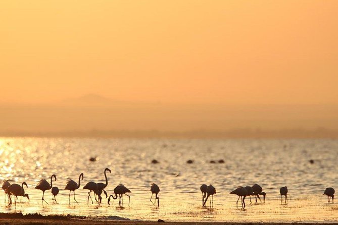 3 Days of Camping Bliss in Serengeti and Ngorongoro Crater - Camping comfort, meals, and the safari vehicle