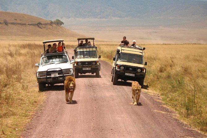 3 Days of Camping Bliss in Serengeti and Ngorongoro Crater - Should you book this Serengeti and Ngorongoro trip?