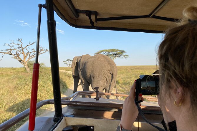 3 Days Private Budget Safari to Tarangire and Ngorongoro Crater - Tarangire National Park: baobabs, elephants, and a full game drive