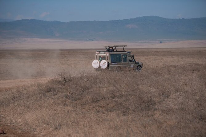 3 Days Private Classic Mid Range Serengeti Safari - Day two: the safari day that carries the trip