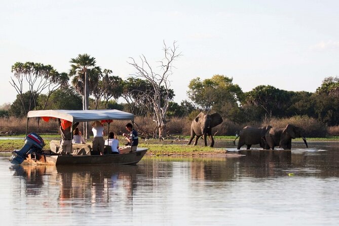 3-Days Private Nyerere NP Game Drive and Boat safari tour - Key points at a glance