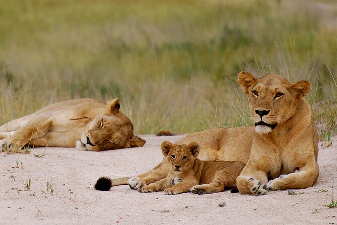 3-Days Private Nyerere NP Game Drive and Boat safari tour - Why Nyerere works well for a short safari