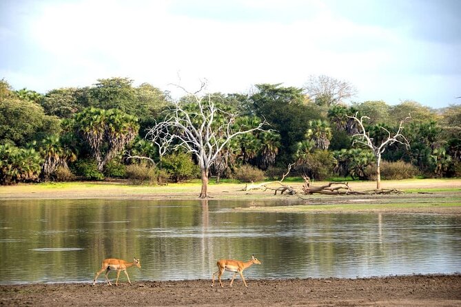 3-Days Private Nyerere NP Game Drive and Boat safari tour - The road from Dar es Salaam to Selous