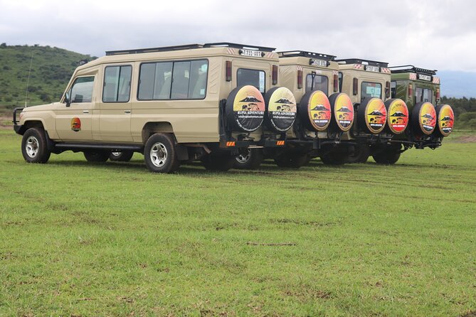3 Days Private Safari - manyara, Ngorongoro & Tarangire - Accommodation and meals: useful value, but confirm the details