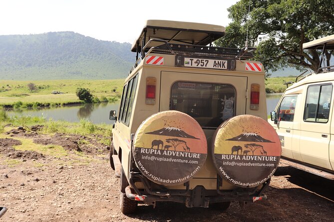 3 Days Private Safari - manyara, Ngorongoro & Tarangire - What the public rating tells you