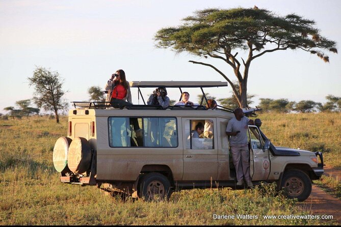 3 Days Safari Ngorongoro Crater and Serengeti National Park - Day Three: Down Into Ngorongoro Crater