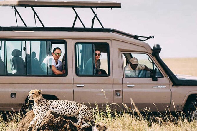 3 Days Safari Ngorongoro Crater and Serengeti National Park - Camping, Food, and Comfort