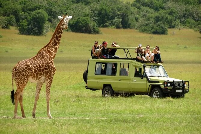 3 Days Safari Ngorongoro Crater and Serengeti National Park - Is $810 Good Value?
