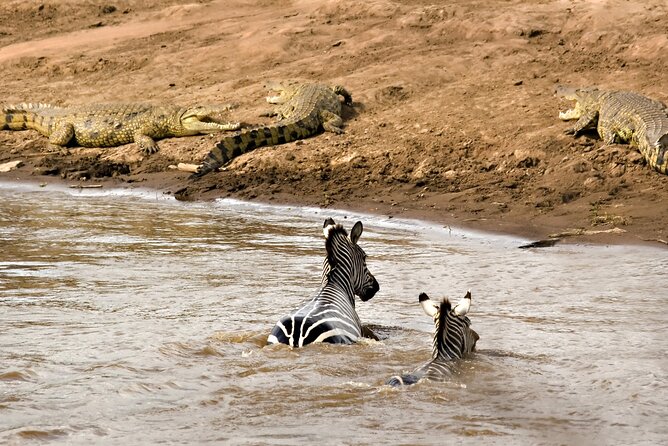 3 Days Safari Serengeti & Ngorongoro Crater - Sleeping at Simba Campsite near the crater rim