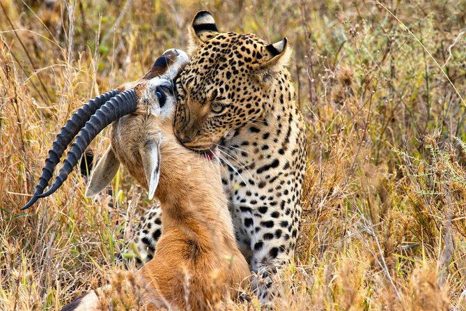 3 Days Safari Serengeti & Ngorongoro Crater - Descending into Ngorongoro Crater at 6:15 am