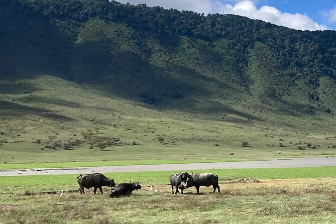 3 Days Safari Serengeti NP and Ngorongoro Crater - What the $962 Price Really Buys