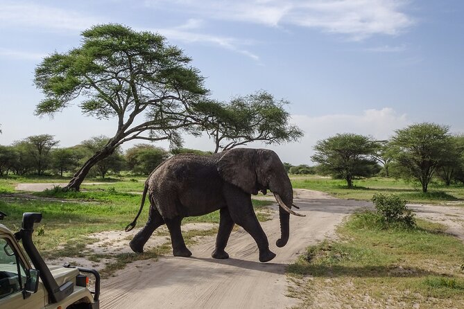 3 Days Safari Serengeti NP and Ngorongoro Crater - What to Pack and How to Prepare