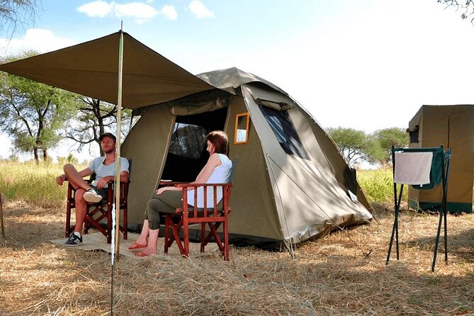 3 Days Safari Serengeti NP and Ngorongoro Crater - Day Two: Sunrise in Serengeti, Then Toward Ngorongoro