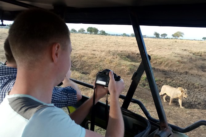 3 Days Safari to Mikumi NP - Accommodation Inside the Park - The strongest part of the experience