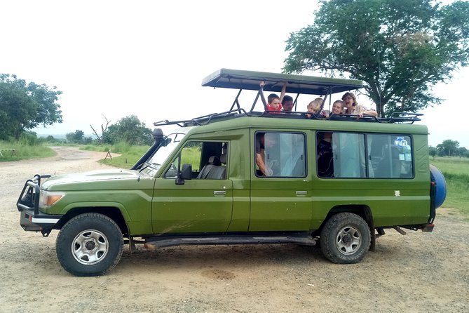 3 Days Safari to Mikumi NP - Accommodation Inside the Park - The drawbacks you should weigh