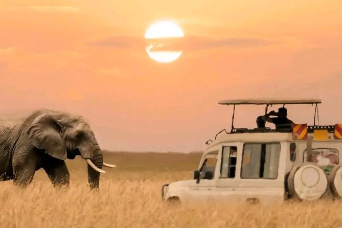 3 Days safari to Tarangire, Ngorongoro and Manyara national park - Three national parks in three days
