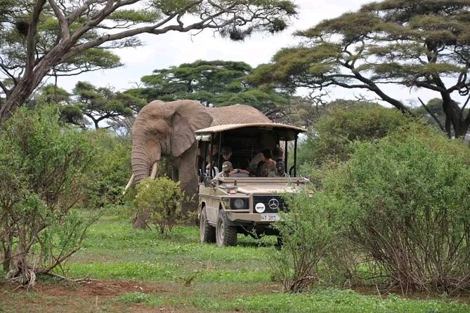 3 Days safari to Tarangire, Ngorongoro and Manyara national park - Service, communication, and the small amount of feedback