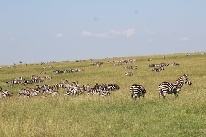 3 Days Safari Tour in Lake Manyara and Ngorngoro - Key points at a glance