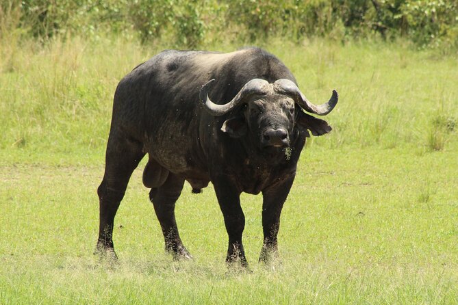 3 Days Safari Tour in Lake Manyara and Ngorngoro - Day one: forests, hot springs, and Lake Manyara