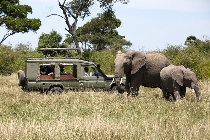3 Days Safari Tour to Serengeti National Park - Quick points to know before booking