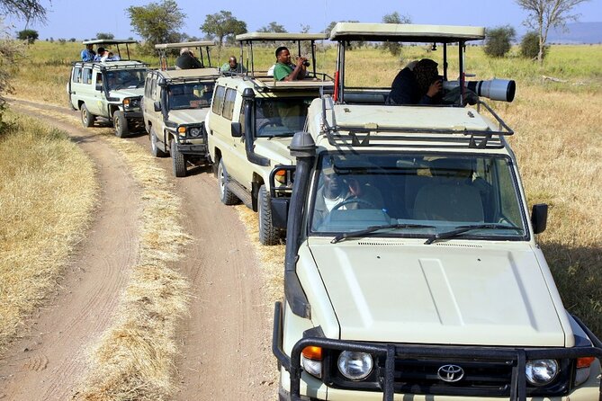3 Days Safari Tour to Serengeti National Park - Day one: the long approach to the Serengeti