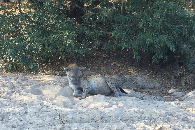 3 Days Selous (Nyerere National Park) - Why Nyerere National Park makes a good short safari