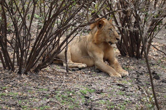 3 Days Selous (Nyerere National Park) - Day one: lunch and the Rufiji River