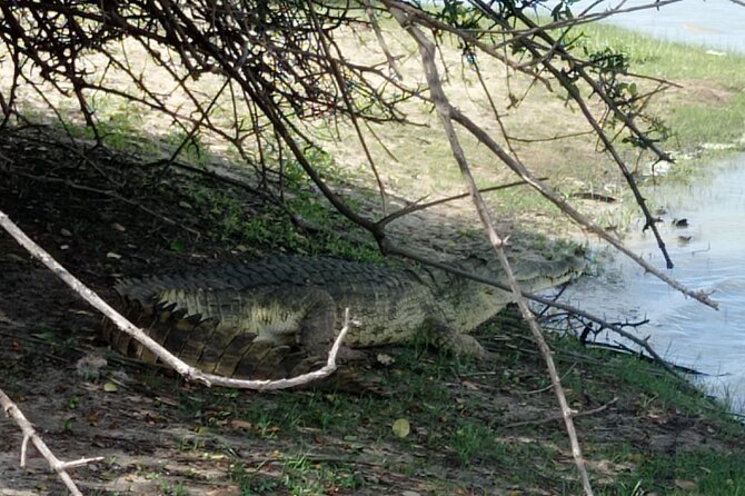 3 Days Selous (Nyerere National Park) - What the $850 price includes