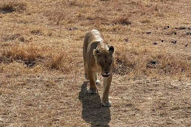 3 Days Selous (Nyerere National Park) - Who will enjoy this trip most