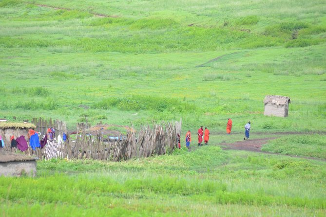 3 Days Serengeti & Ngorongoro Crater group safari - Why this three-day safari works