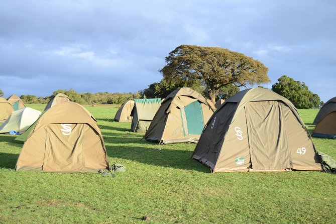 3 Days Serengeti & Ngorongoro Crater group safari - Day three: searching for rhino in Ngorongoro Crater